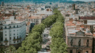 Horarios de La Primitiva: días de sorteo, cierre de apuestas y publicación de resultados